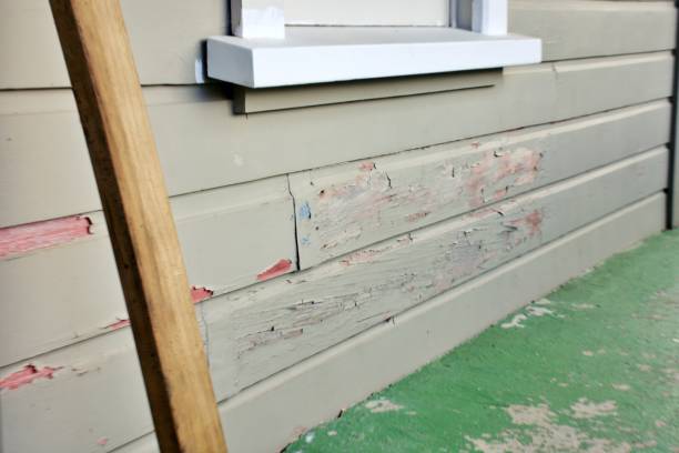 Best Weatherproofing and Sealing  in North Les, AK